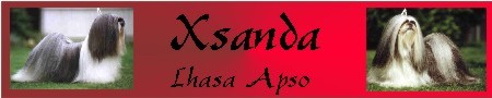 xsanda banner.jpg (14693 bytes)